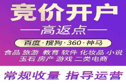 案例解读：网络推广与竞价策略