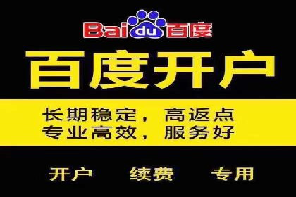 网络推广策略：竞价广告的实践案例